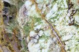 Polished Green-White Opal Slab - Western Australia #65405-1